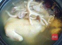 鸽子蘑菇汤的做法图解5