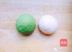 白菜饺子的做法图解3