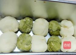 抹茶土司的做法图解8