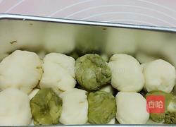 抹茶土司的做法图解9