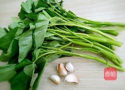 蒜蓉空心菜的做法图解1