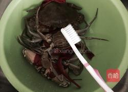 豆酱螃蟹的做法图解1