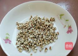 冬瓜薏米排骨汤的做法图解6