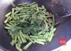 九层塔炒豆角的做法图解6