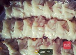 胡萝卜木耳饺子的做法图解4