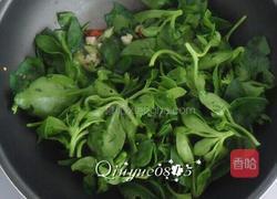 炒穿心莲的做法图解3