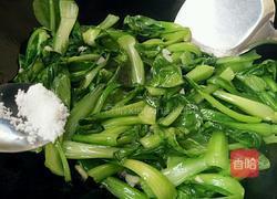 豆腐小油菜的做法图解9