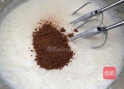 自制巧克力冰淇淋的做法图解2