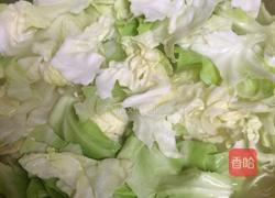 清炒圆包菜的做法图解1