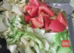 爆炒甘蓝的做法图解3