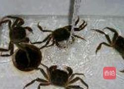 清蒸大闸蟹的做法图解1