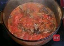 西红柿炖牛腩的做法图解11