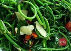 炒苕尖的做法图解4