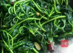 炒苕尖的做法图解3