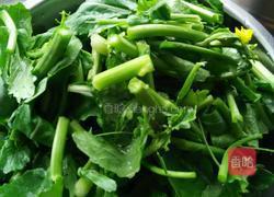 炒菜苔的做法图解1