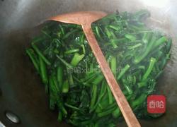 炒菜苔的做法图解4