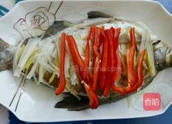 清蒸武昌鱼的做法图解5