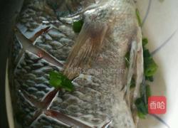 清蒸福寿鱼的做法图解2