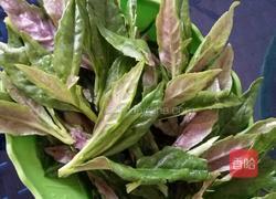 血皮菜炒猪肝的做法图解1