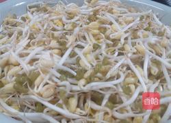 豆芽肉片汤的做法图解1