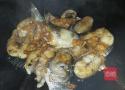 黄豆酱焖乌鱼的做法图解3