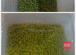 自制豆芽(环保版)的做法图解1