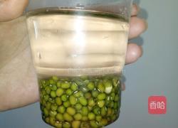 自制绿豆芽（沙培法）的做法图解1