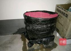 自制绿豆芽(沙培法)的做法图解3