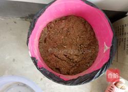 自制绿豆芽（沙培法）的做法图解4