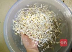 自制绿豆芽（沙培法）的做法图解10