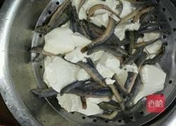 豆花泥鳅的做法图解4