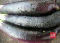 红烧茄茄子。的做法图解3