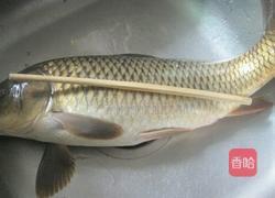 红烧鲤鱼的做法图解1