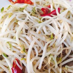 酸辣豆芽菜的做法[图]