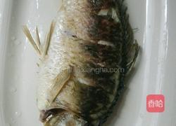 干烧鲫鱼的做法图解2