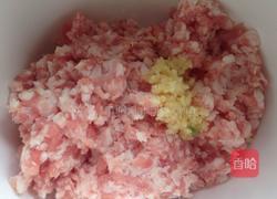 狮子头的做法图解1