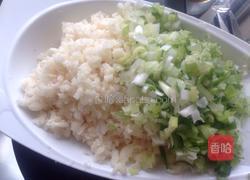 狮子头的做法图解8