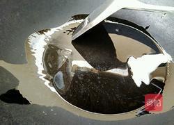 清汤娃娃菜的做法图解4