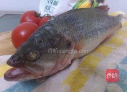 茄汁鲈鱼的做法图解2