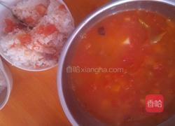 西红柿牛腩的做法图解3