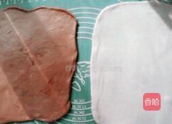 可可粉双色馒头的做法图解5