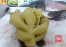 酸菜煮鲩鱼的做法图解3