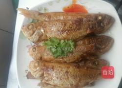 香煎红衫鱼的做法图解4