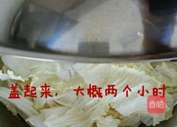 韩国泡菜的做法图解4