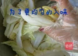 韩国泡菜的做法图解5