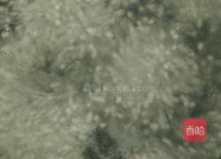 牛奶西米露的做法图解1