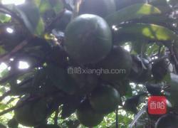 柠檬鸭的做法图解1