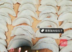 香葱猪肉手工水饺的做法图解10