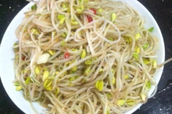 炒豆芽
