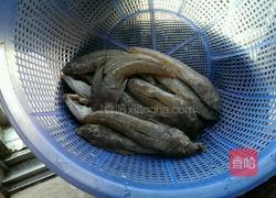 箭头鱼的做法图解1